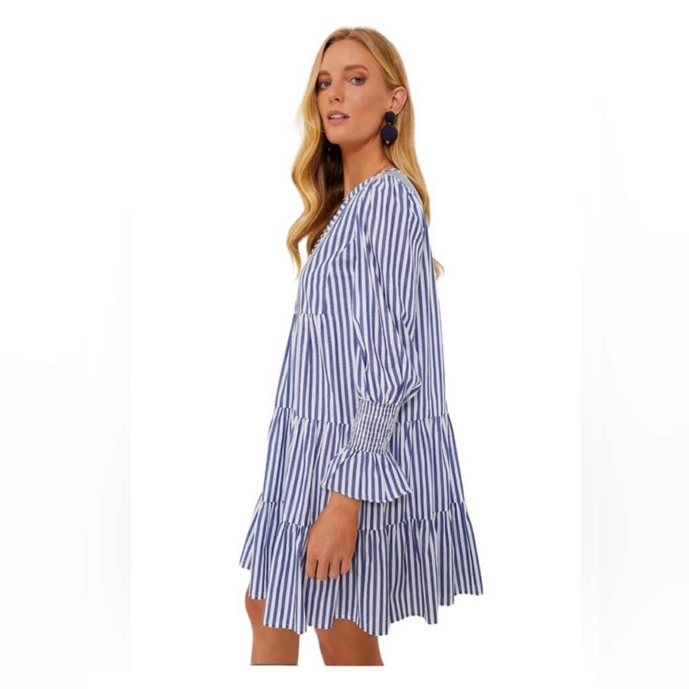 Tuckernuck Blue and White Striped Tiered Mini Dress - Picture 2 of 16